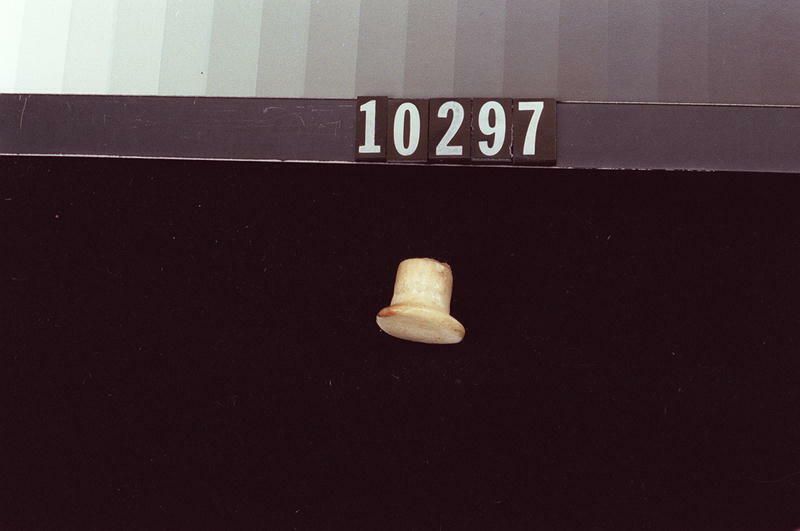 Image representing Labret.