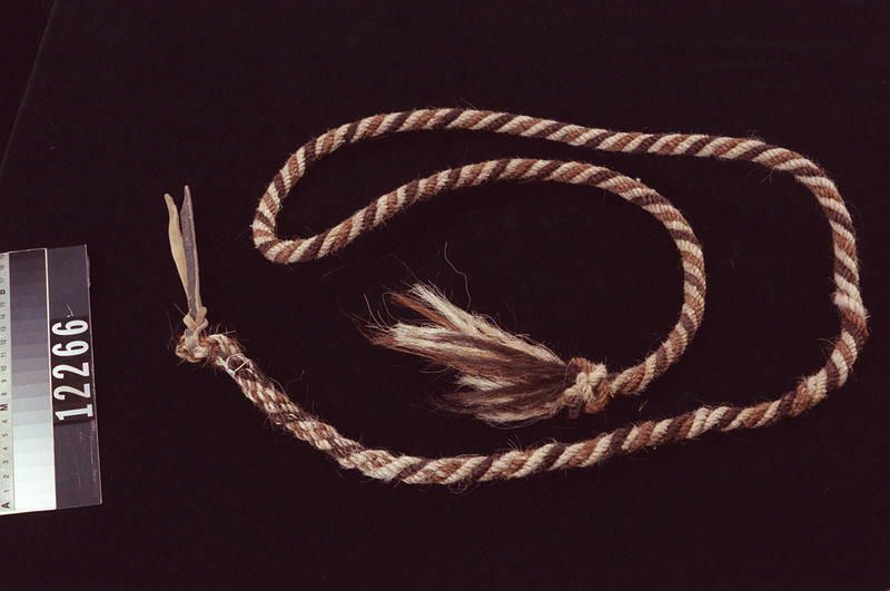 Image representing Shank.