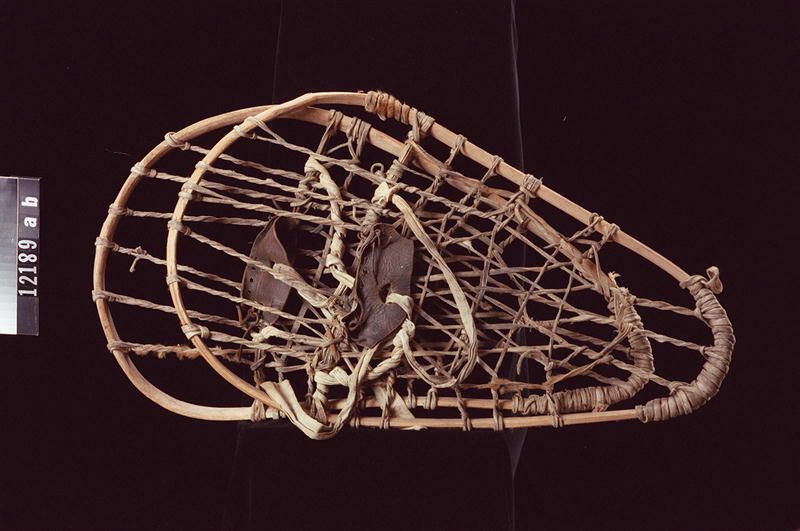 Image representing Snowshoe.