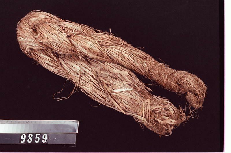 Image representing Hemp.