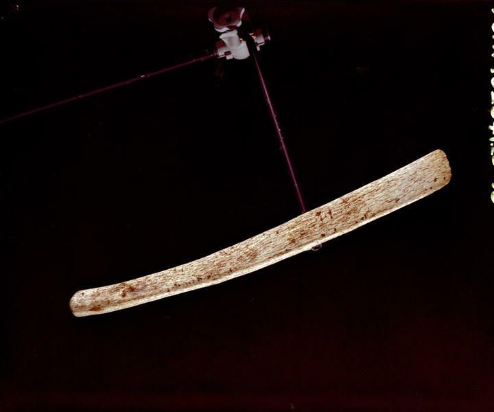 Image representing Stripper.