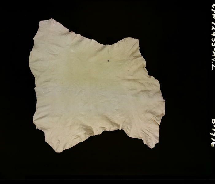 Image representing Prepared Material.