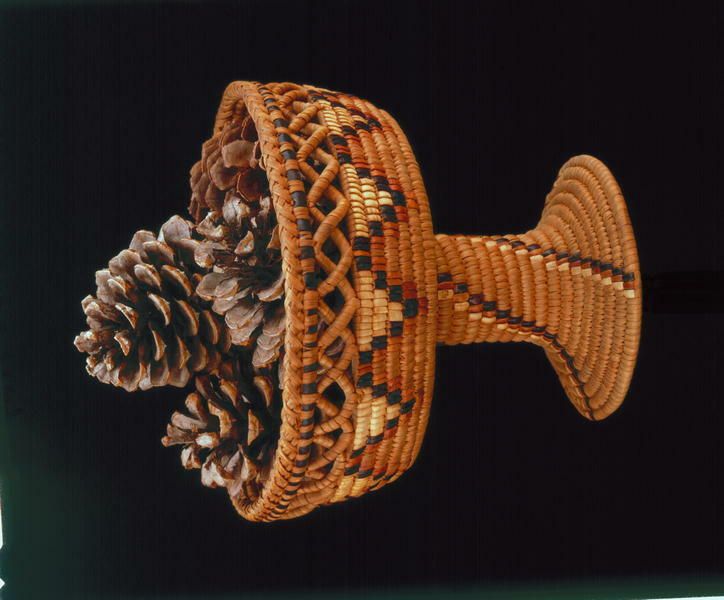 Image representing Dish.