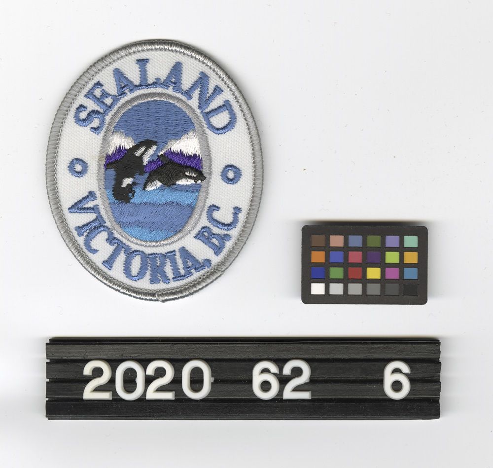 Image representing Patch, Insignia.