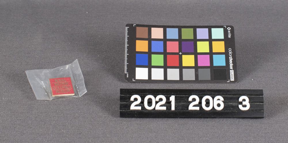 Image representing Pin, Lapel.