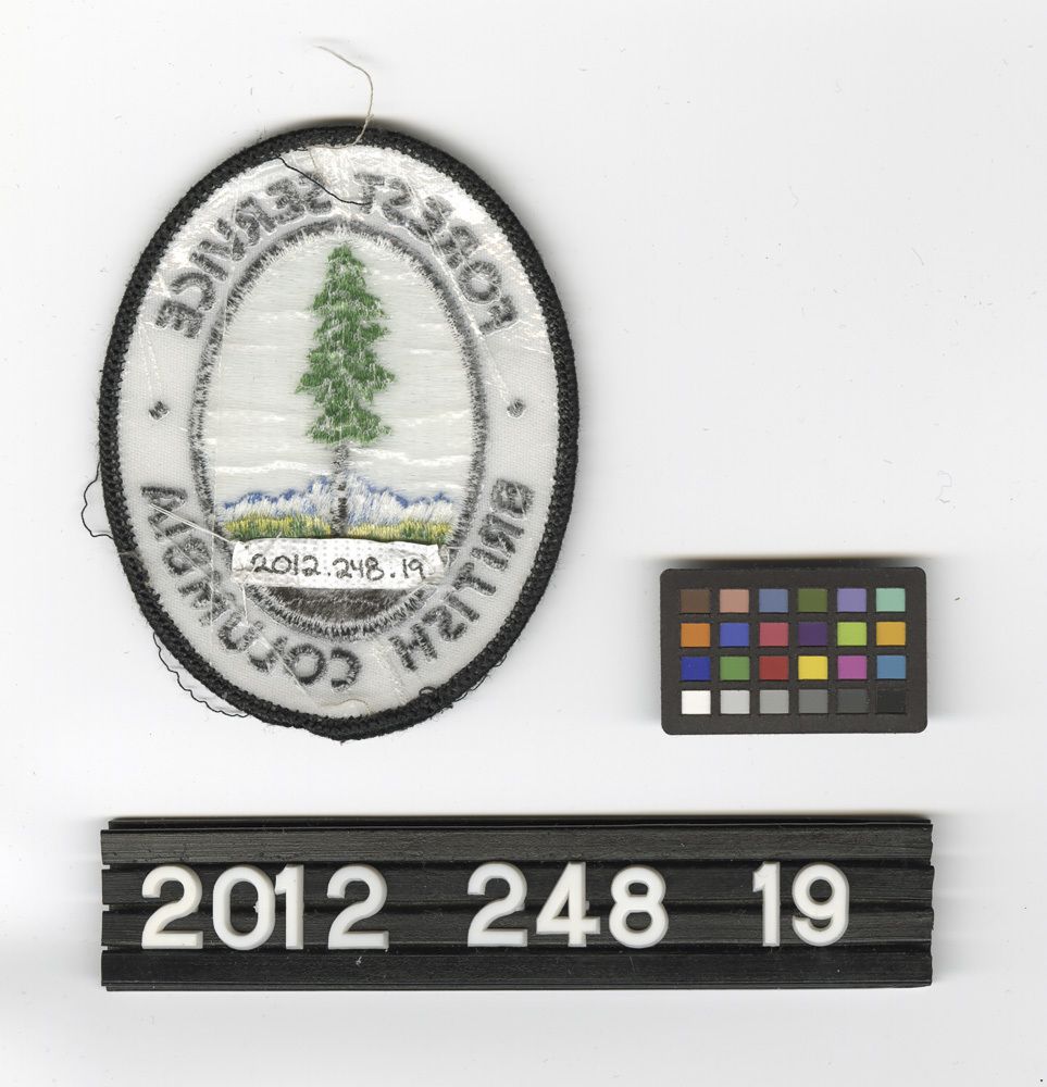 Image representing Patch, Insignia.