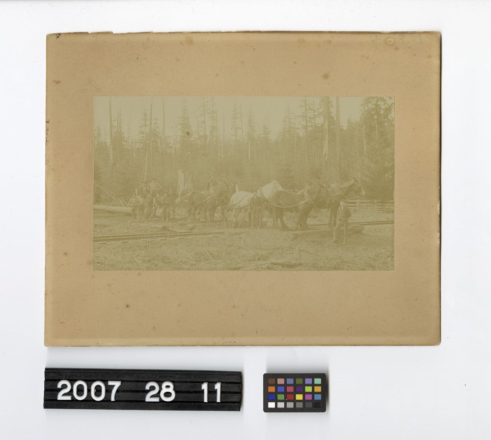 Image representing Print, Photographic.