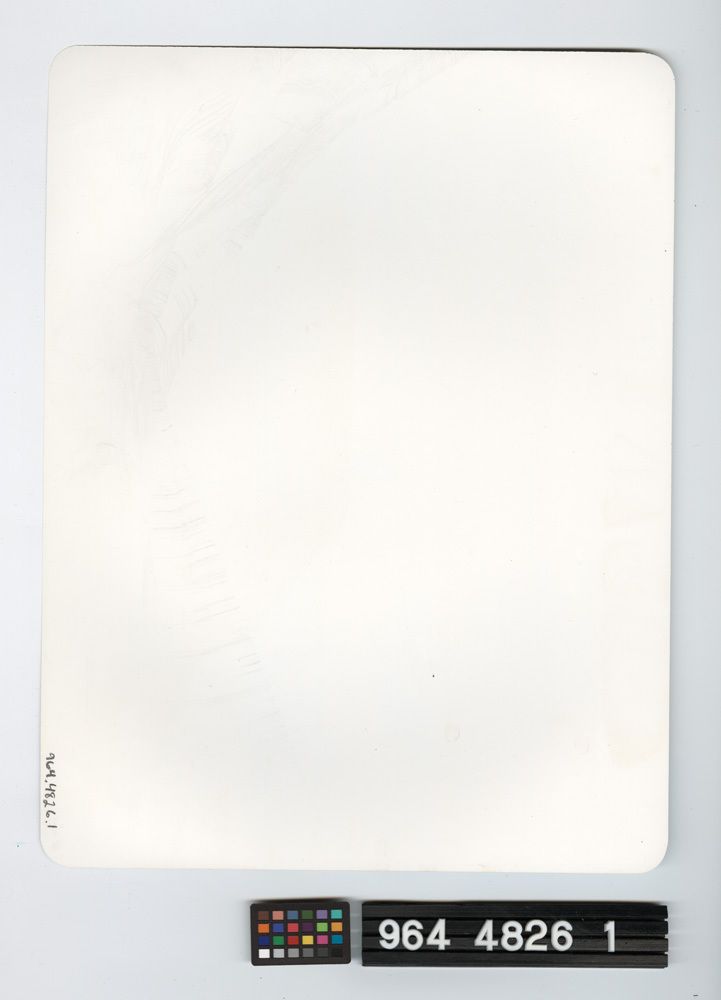 Image representing Photograph.