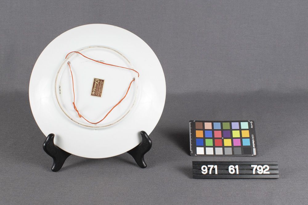Image representing Plate, Souvenir.