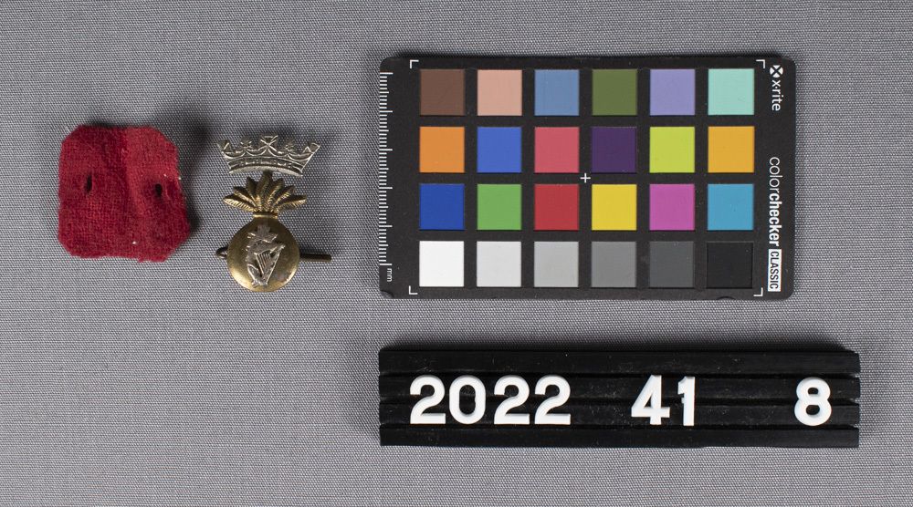 Image representing Badge, Cap.