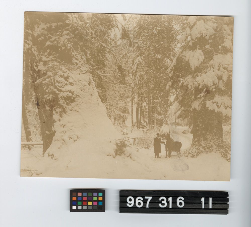 Image representing Print, Photographic.