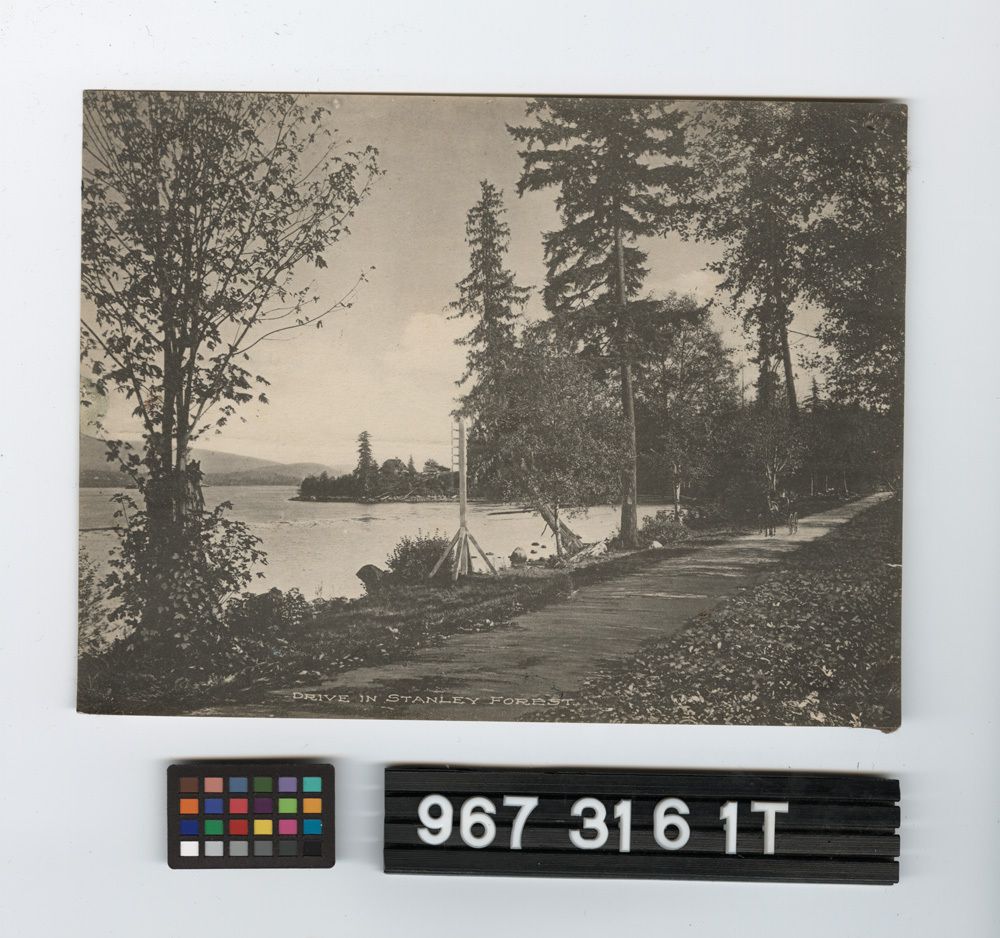 Image representing Print, Photographic.