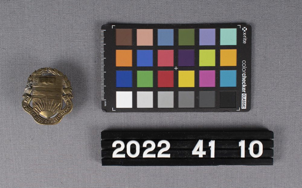 Image representing Badge, Cap.