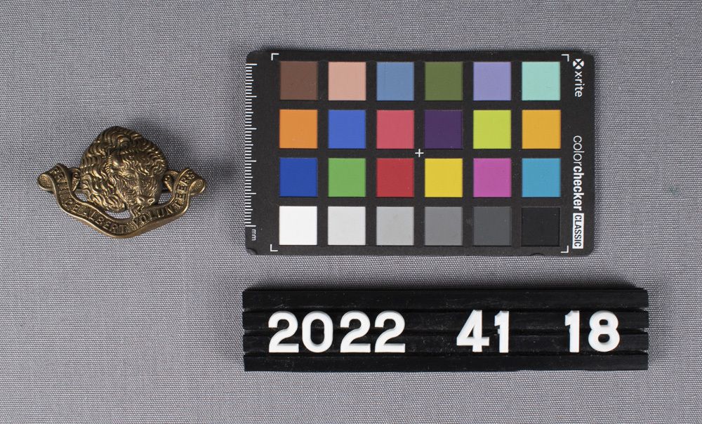 Image representing Badge, Cap.
