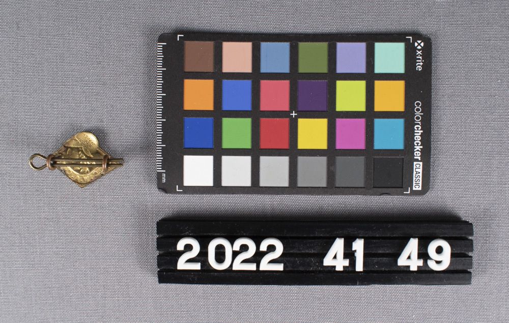 Image representing Badge, Collar.