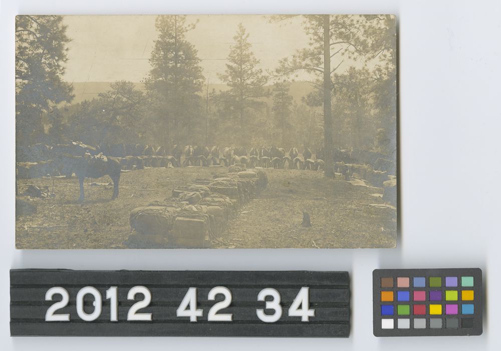 Image representing Postcard.