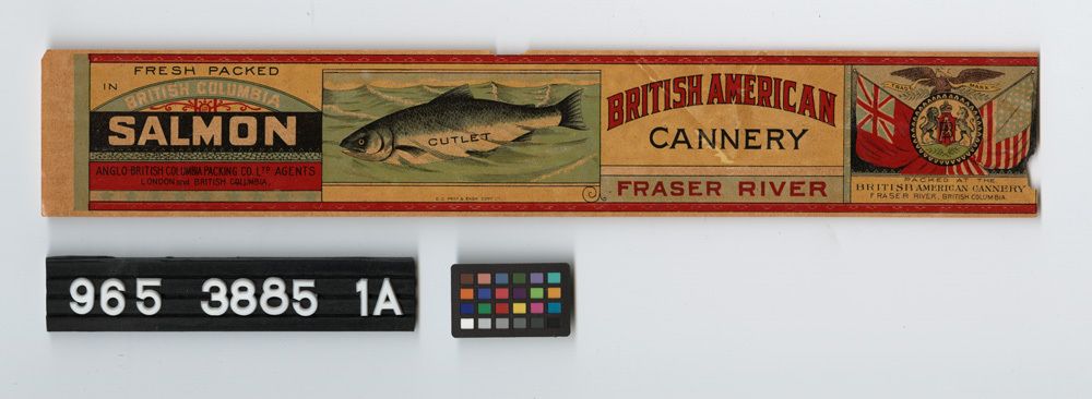 Image representing can label.