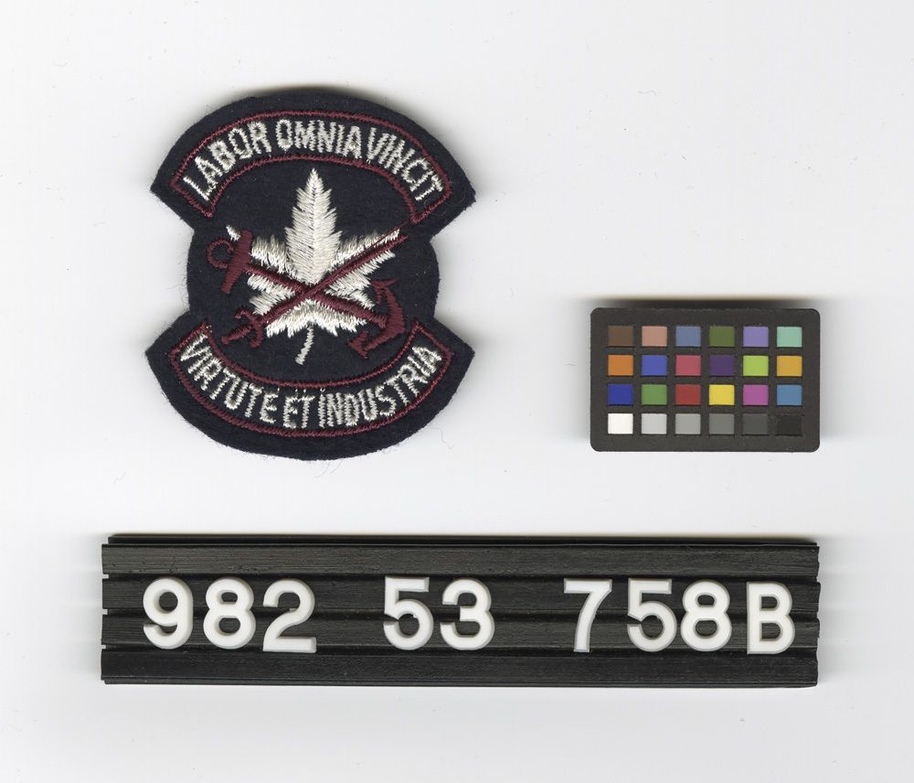 Image representing Patch, Insignia.