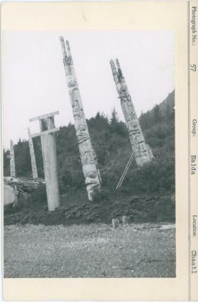 Image representing photograph.