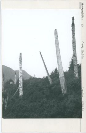 Image representing photograph.