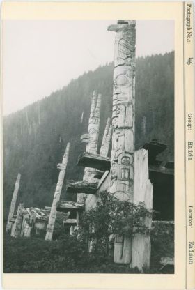 Image representing photograph.