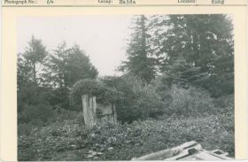 Image representing photograph.