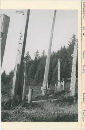 Image representing photograph.