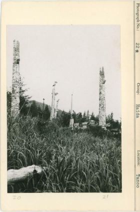 Image representing photograph.