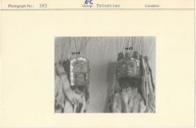 Image representing photograph.