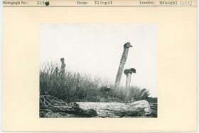 Image representing photograph.