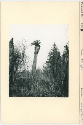 Image representing photograph.