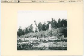 Image representing photograph.