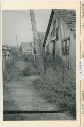 Image representing photograph.