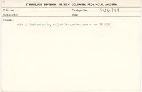 Image representing photograph.