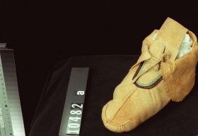 Image representing Moccasin.