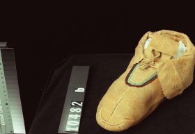 Image representing Moccasin.