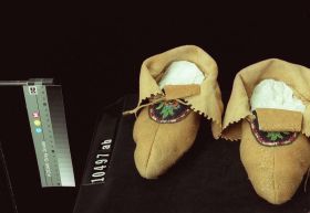 Image representing Moccasin.