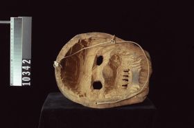 Image representing Mask.