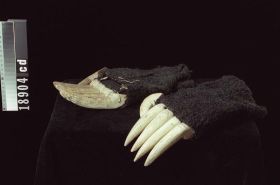 Image representing Costume.