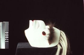 Image representing Mask.