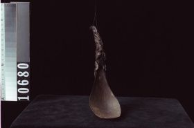 Image representing Spoon.