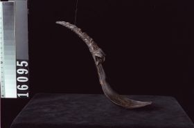 Image representing Spoon.