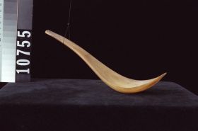 Image representing Spoon.