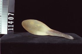 Image representing Spoon.