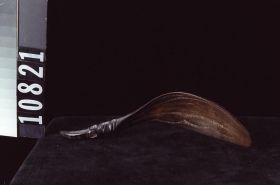 Image representing Spoon.
