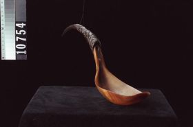 Image representing Spoon.