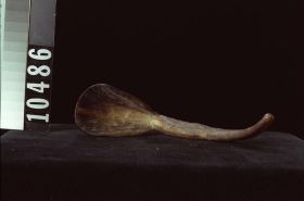 Image representing Spoon.