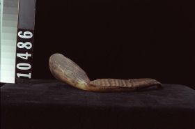 Image representing Spoon.
