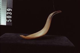 Image representing Spoon.
