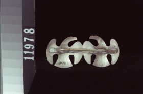 Image representing Brooch.